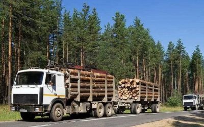 Лесовозы для перевозки леса, аренда и услуги. - Черногорск, заказать или взять в аренду