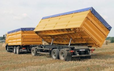 Услуги зерновозов для перевозки зерна - Абакан, цены, предложения специалистов