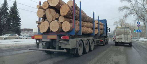 Поиск транспорта для перевозки леса, бревен и кругляка стоимость услуг и где заказать - Абакан